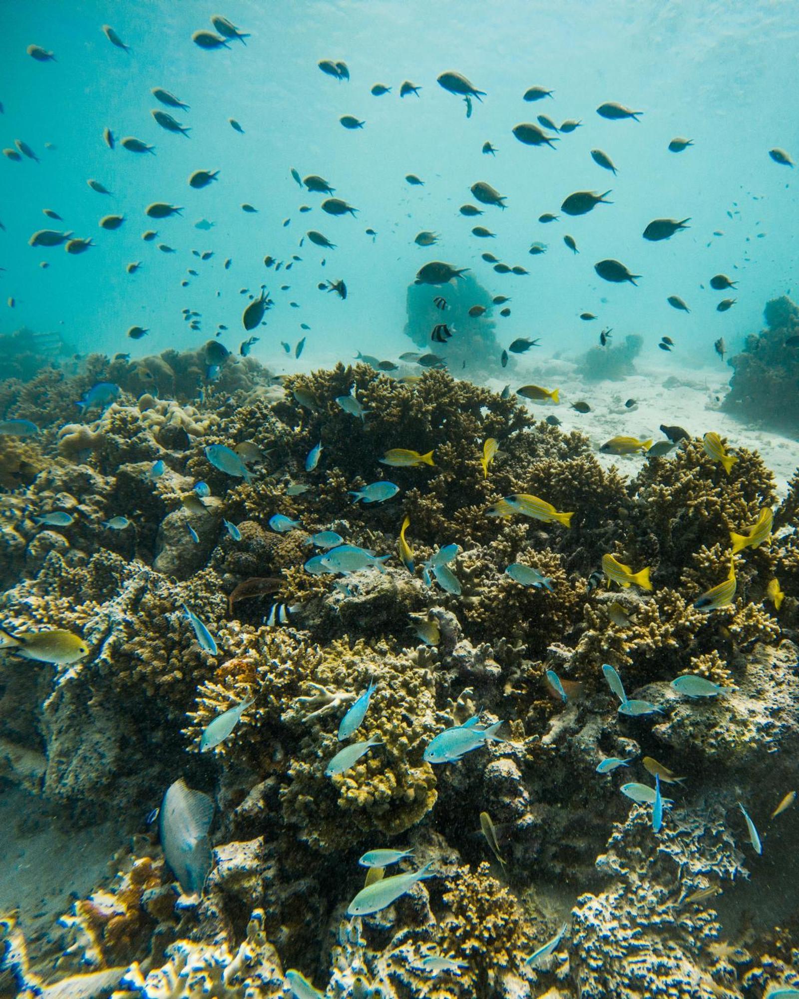 Grand Park Kodhipparu Maldives Hotel Baros Island Bagian luar foto